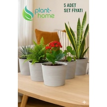 1,8 Litre Tabaksız Kırılmaz Plastik Saksı 5 Adet Set Modern - Ev & Salon Bitkileri İçin