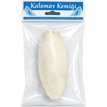 Doğal Kalamar Kemiği