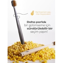 Diş Fırçası Spiral - Ekru Açık Ahşap