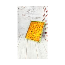 5 Kg Jumbo Boy Sarı Kayısı Diğer