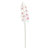 Yapay Orkide Dalı Fuşya Beyaz 100 Cm-10353