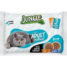 4 Adet Jungle 4 100 Gr. Çift Lezzet Pouch Yetişkin Kedi Ton - Somonlu