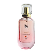 Stylish Boise Odunsu Aromalı Köpek ve Kedi Parfümü 50 ML
