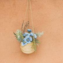 Garden With Ware Dekoratif Çiçek - Saksılı