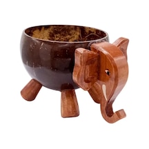 Hindistan Cevizi Coconut Fil Kase Ayaklı Coconat Şekerlik