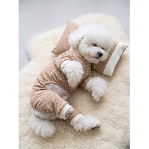 Latte Sprinkles Köpek Uyku Takımı Pamuklu Penye Köpek Tulumu Ve Mini Yastık Küçük Irklar İçin Tüy Dökülmesini Azaltır