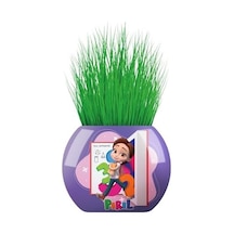 Yuup Pırıl Temalı Çim Adam 6&apos Lı Set Çocuklar İçin Eğitici Ve Eğlenceli Bitki Yetiştirme Kiti