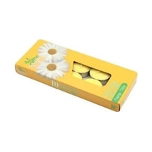 Bozkurt Mum Scented Tealights Papatya 10'lu Paket Çok Renkli