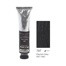 Bigpoint Yağlı Boya 200 ML Payne's Grey 797