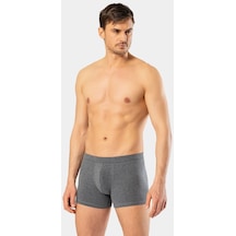 Cacharel Erkek Likralı Boxer 1335/Antrasit 001