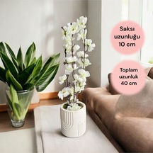 Beyaz