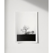 Çerçevesiz Poster Sessiz Bir Sabah