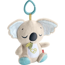 Fisher-price Taşınabilir Uyku Arkadaşı Koala Jbd65 Gri