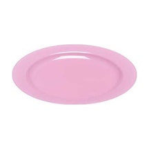 Plastik Pembe Tabak 19 Cm - 10 Adet N11.1006