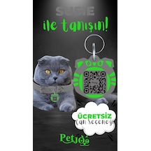 Petjoo 3.Susie Yeşil-Gri Qr'lı Kedi Künyesi