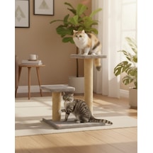 Reyo Pet Çift Stepli Kedi Tırmalama Gri