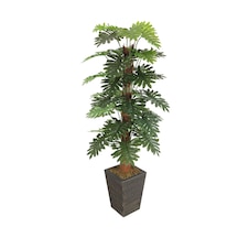 Yapay Çiçek Deposu 36 Yapraklı Yapay Philodendron Deve Tabanı Ağacı 190 Cm Ahşap Siyah Gold-saksıda