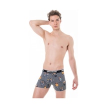 John Frank Cool Teddy Boxer