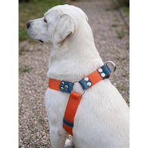 Köpek Göğüs Tasması Orta Ve Büyük Irk Ayarlamalı Kolon Kordon Neon Turuncu
