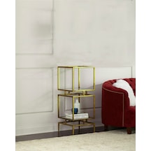 Olope Gold Metal 2 Raflı Kitaplık Çiçeklik Gümüşlük Duvar Rafı