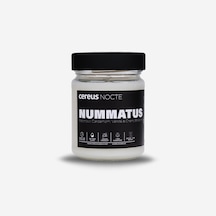 Paçuli & Vanilya Kokulu Doğal Soya Mum – Cereus Nocte Serisi El Yapımı Cam Kavanoz 210 gr