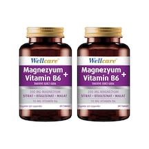 Wellcare Magnezyum + Vitamin B6 2 x 60 Tablet