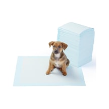 Köpek İçin Çiş Eğitim Pedi 30'lu 60 x 90 CM