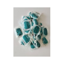 Envu Rodilon Paste Fare Zehiri Pasta 50 Gr