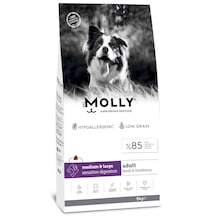 Molly Kuzu Etli ve Yaban Mersinli Orta ve Büyük Irk Yetişkin Köpek 15 KG