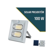 100W Solar Projektör