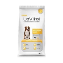 Medium Adult Salmon Formula 100 G