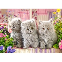 Castorland 260 Parça Three Grey Kittens Puzzle