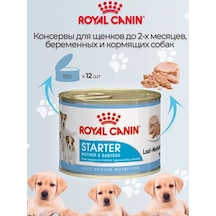 Royal Canin Starter Mousse Dog Köpek Maması Yaş 12 Adet 176279824