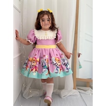 H L Y Karol Tasarım Paw Patrol Vintage Kız Bebek Elbise,doğum Günü Elbise,fotoğraf Çekim Elbise,0-12 Yaş Uygun Lila