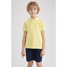 Sarı