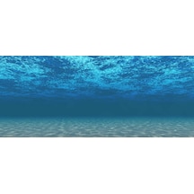 Kanki Pet 155 cm KP1556508 Akvaryum Arka Fon Yapıştırma 155x65 cm