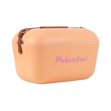 Polarbox Sorbete - Rosa Classic Soğuk Tutucu Çanta 20l 9374 Çok Renkli