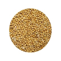 İthal Sarı Darı Muhabbet Kuşu Yemi 25 KG