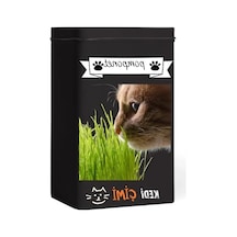 Yıl Boyu Yeşil Kedi Çimi - Pomponet