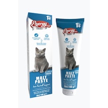 Energy Yetişkin Kedi Malt Paste - 100 G