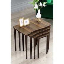 Canisa Concept Kuğu Serisi Mdf Zigon Sehpa Takımı-4 Lü Sehpalar Ceviz Ayaklar Ceviz