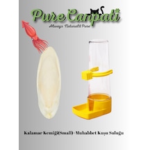 Purecanpati Muhabbet Kuşu Suluğu+küçük Boy Kalamar Kemiği