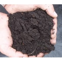 5 L Zengin Karışım Bonsai Ağacı Tohumu Özel Karışım Bonsai Ağ