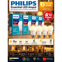 4 Adet 13w Sarı Işık 2700k E27 Duylu Kalın Duy Led Ampul