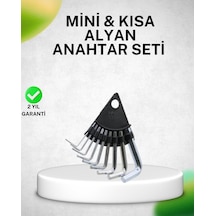 Ilkeshop 9 Parça Alyan Anahtar Seti Isıl İşlem Görmüş Dalı Çelik