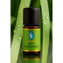 Hint Limonotu Organik %100 Saf Uçucu Yağ 10ml