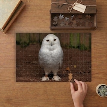 Yavru Kar Baykuşu Tasarımı 240 Parça Ahşap Puzzle Ahşap Kutuda Mpy60235