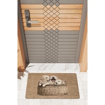 Rugmood Modern Dijtal Baskı Yavru Köpekler Kapı Önü Paspası Çok Renkli