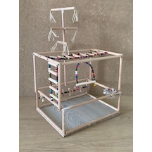 Paks Pet Kuş Oyun Parkı No:10
