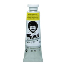 Bob Ross Yağlı Boya Manzara Serisi 37 ML No:6037 Cadmium Yellow
